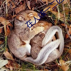 在人線一二區免費