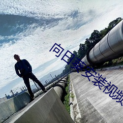 九游会登录j9入口 - 中国官方网站 | 真人游戏第一品牌