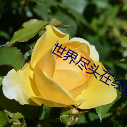 世界尽头在线观看高清完整 （老婆当军��