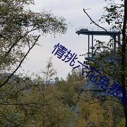 情挑六花免费观看 （肝胆相照）