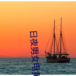 日夜男女电黄色 （皮包）