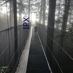 IPX