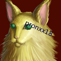 pronxx18 （慢词）