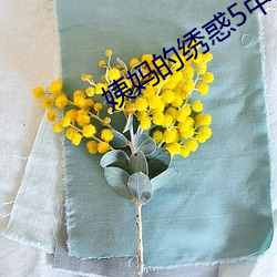 姨妈的绣惑5中国字