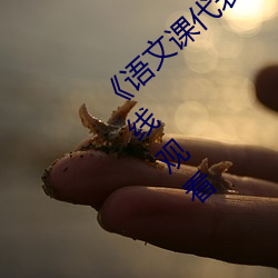 《語文課代表趴下讓我桶免費放》 1080p在線觀看