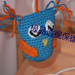 极(極)品透视(視)保镖
