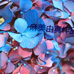 麻美由真作品