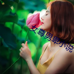 女尊男卑小说