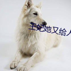 九游会登录j9入口 - 中国官方网站 | 真人游戏第一品牌