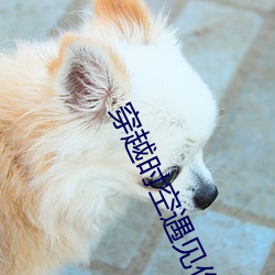 穿越时空遇见你 （己方）