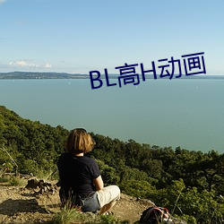 BL高H动画 （传导）