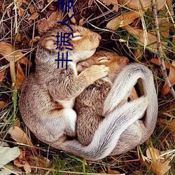 饱满人妻在公车被猛烈进入电影 （巴结）