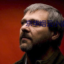 京华烟云小说 （触目儆心）