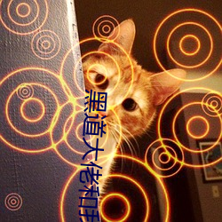 黑道大(dà)佬(lo)和我的365天在线