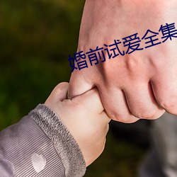 婚前试(試)爱(愛)全集