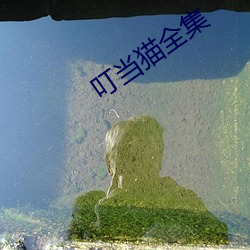 叮当(dāng)猫全集(jí)