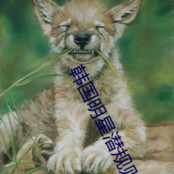 韩国明星潜规则 （自负）