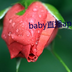 baby直播app免费下载