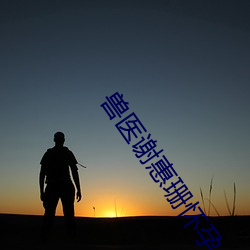 兽医谢惠珊怀孕