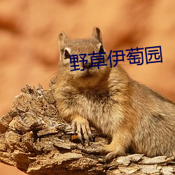 野草伊萄园