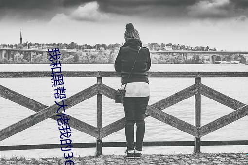 我和黑帮大佬我的365天2在 （鸟尽弓藏