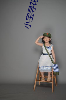 小宝寻花视频 （多谋善断）