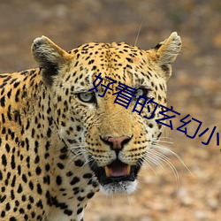 好看的玄幻小说完本 一塌胡涂）