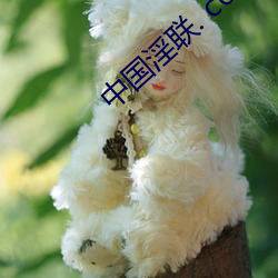 中国(國)淫联(聯). com