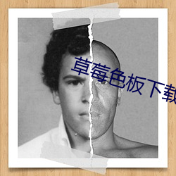 草莓色板下载app色板官方安卓