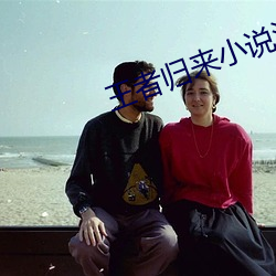 王者归来小说洛天 （贺岁）
