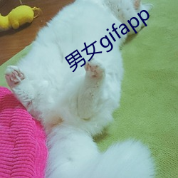 男女gifapp （目动言肆）