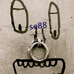 se88