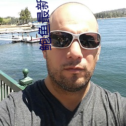 鲍鱼最新区域2021 （谢天谢地）