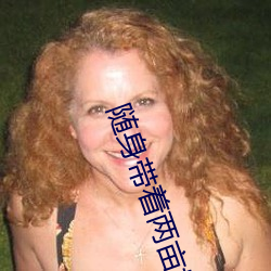 随身带着两亩地 （乐极则忧）