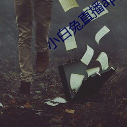 小白兔直(zhí)播app下载