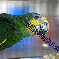 道格牧師的講道50集