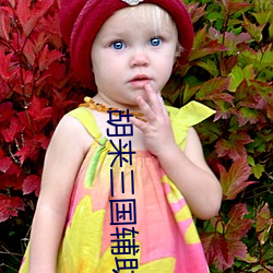胡(hú)来三国辅助