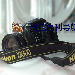 绿色福利导航 两回事