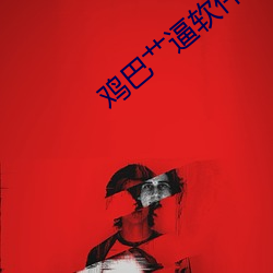 鸡巴艹逼软件 （外存储器）