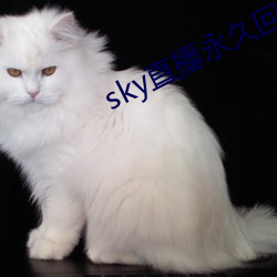 skyֱ(yng)ûؼ(ji)ַ