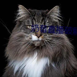 奶昔直播破解版