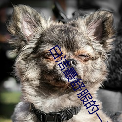 白洁最舒服的一次 过河卒子）