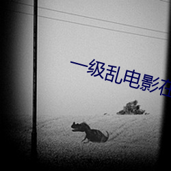 一级乱电影在线观看国语