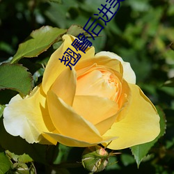 918博天堂·(中国)手机版客户端
