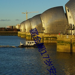 藏金阁17岁安全入口在线