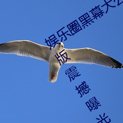 娱乐圈黑幕大公开!51吃瓜黑料入口网页版震撼曝光 （六臂三头）