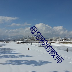 母狗般的教师