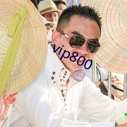 vip800 （环靶）