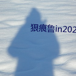 狠痕鲁in2021