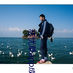 忘忧草app成年版聚下载